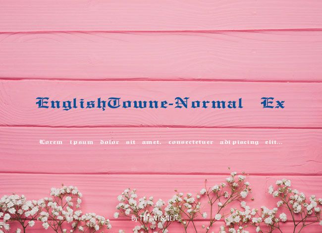 EnglishTowne-Normal Ex example